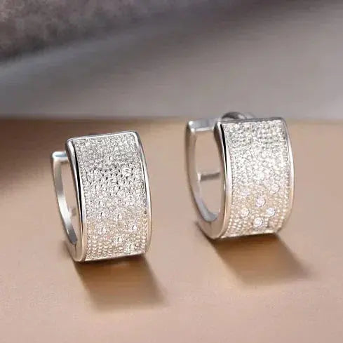 Elegant, shiny silver earrings